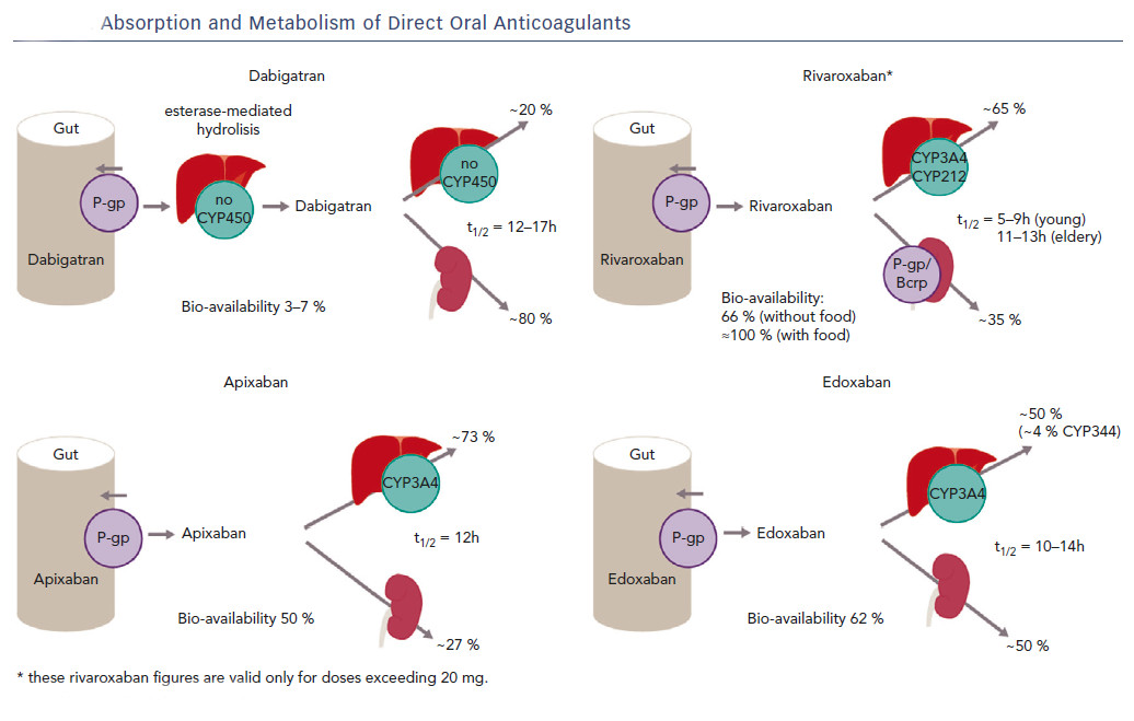 Απορρόφηση και μεταβολισμός των άμεσα δρώντων από του στόματος αντιπηκτικών