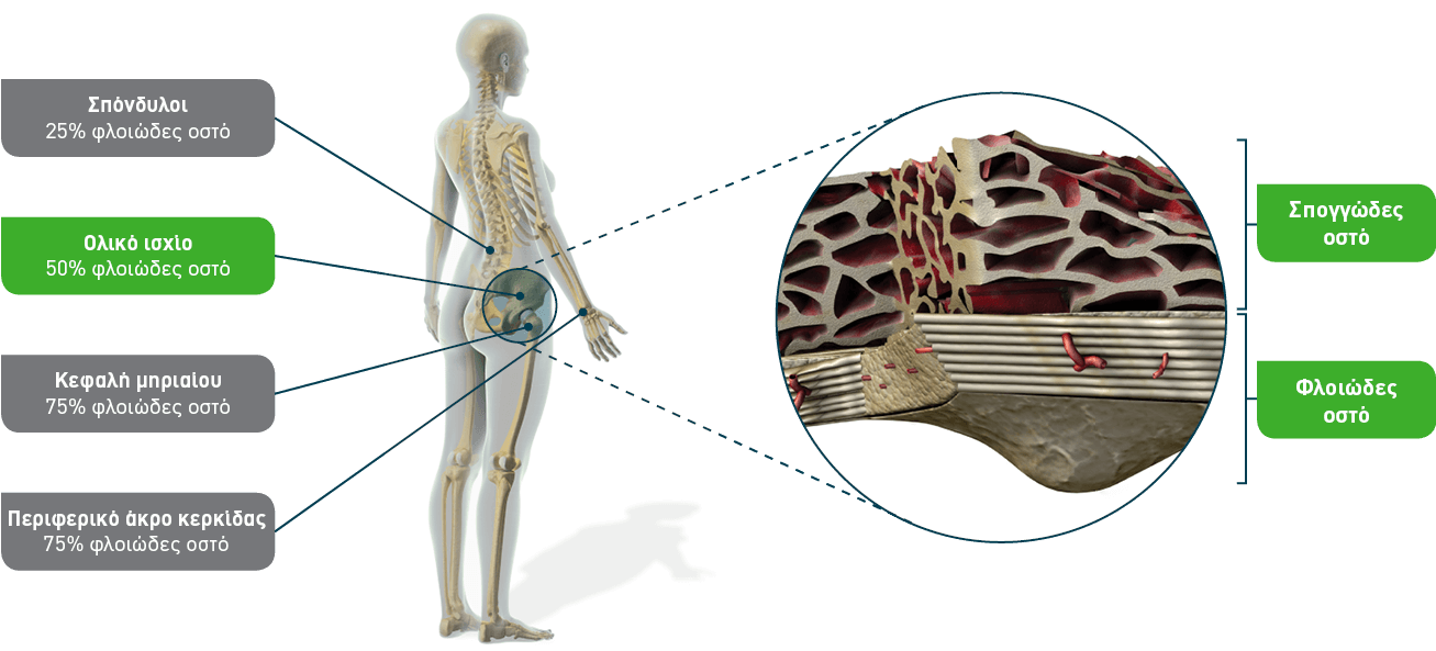 bone density