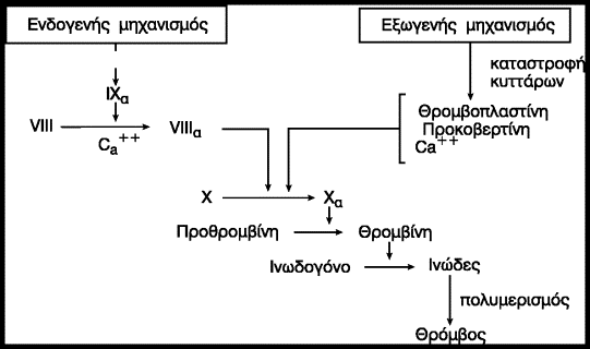 Ο καταρράκτης της πήξης