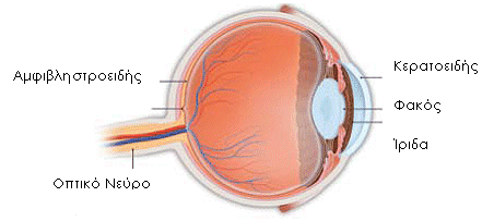 Ο οφθαλμός