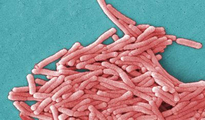 Λεγιονέλλα πνευμονίας