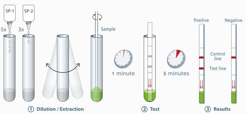 Strep Test