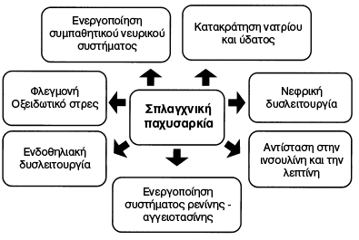 Δυνητικοί μηχανισμοί που συνδέουν την παχυσαρκία με την υπέρταση